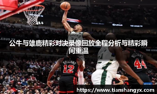 公牛与雄鹿精彩对决录像回放全程分析与精彩瞬间重温